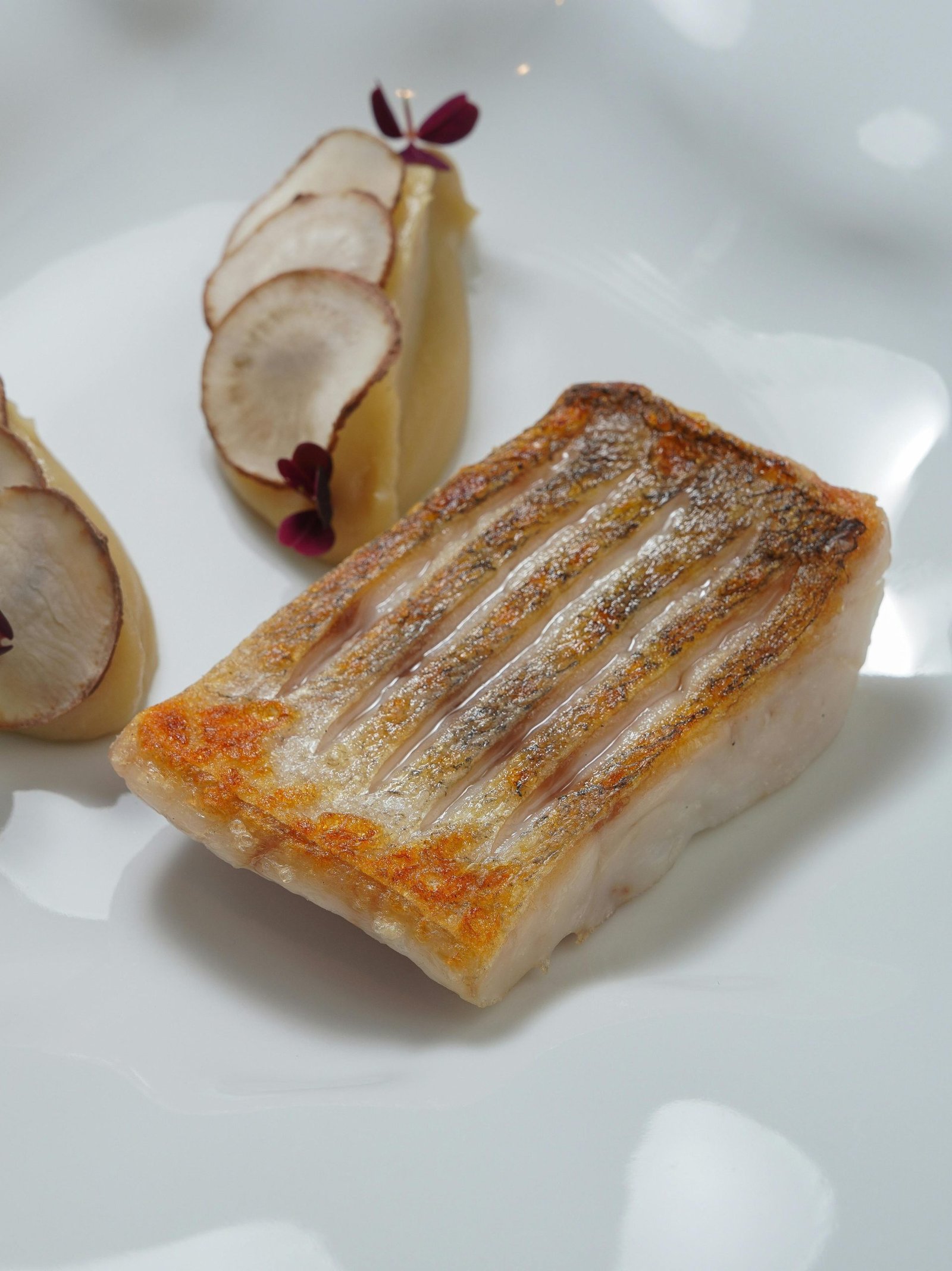 Delicious grilled fish fillet with artful slices of root vegetables on an elegant plate.