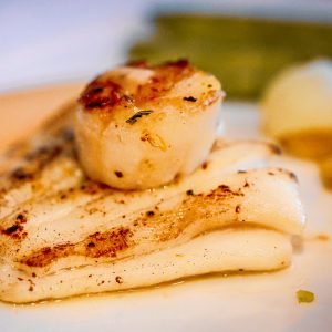 Delicious pan-seared scallops and grilled fish served with vegetables, ideal for culinary enthusiasts.